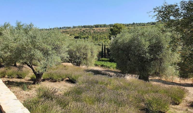 Promenade en quad Var